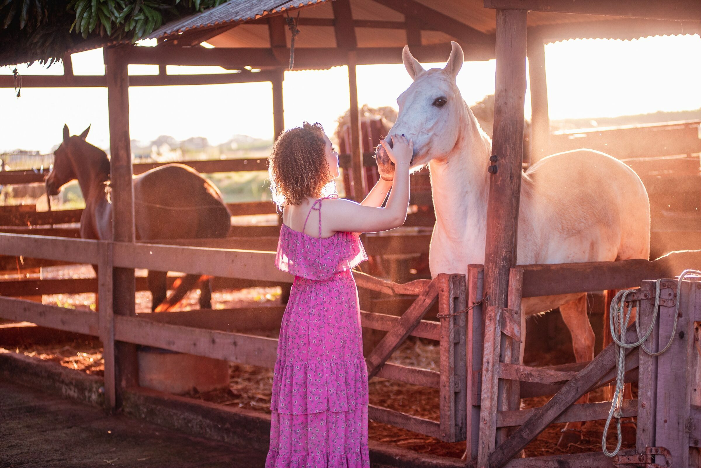 Foto de Photofine Fotografia | Augusto Eric 31