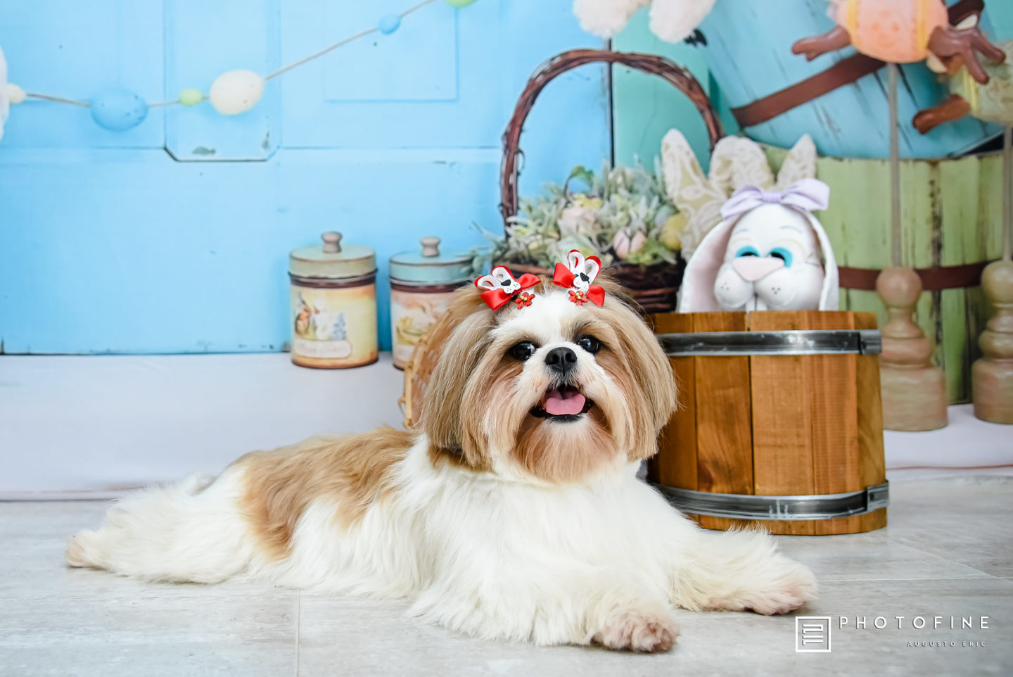 Sessão Páscoa Jhuly e Família