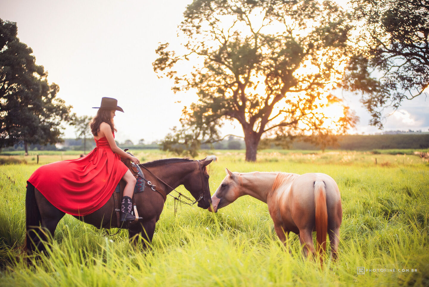 Ensaio 15 anos Betina