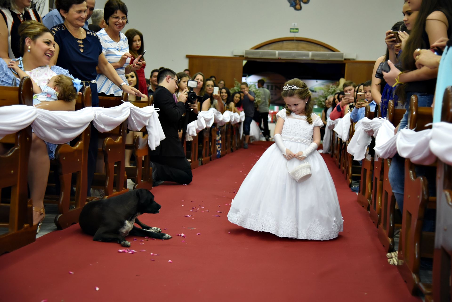 Foto O QUE FAZ A FOTOGRAFIA DE CASAMENTO SER TÃO IMPORTANTE? - Imagem 3